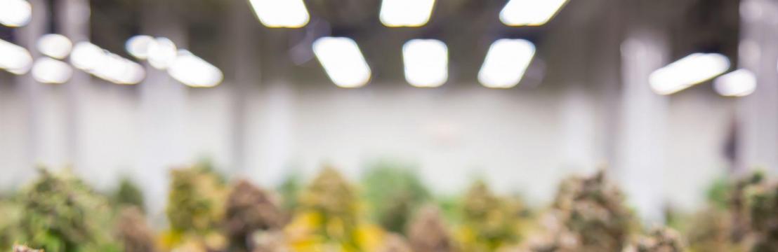 OHIO MMJ CARD DOCTOR