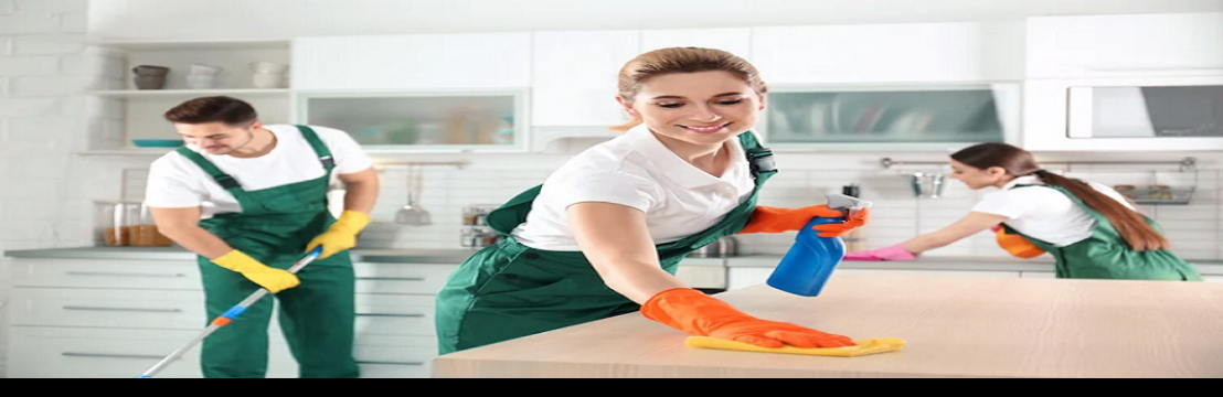 Stellarina Cleaning Of Santa Monica