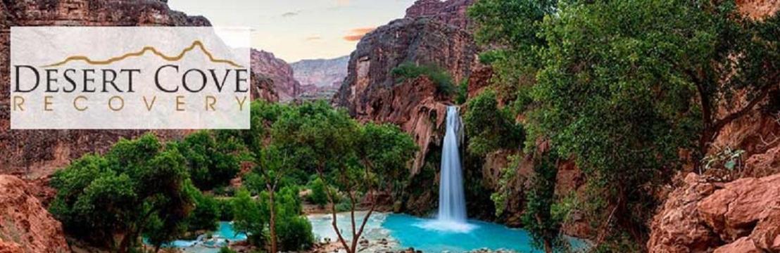 Desert Cove Recovery