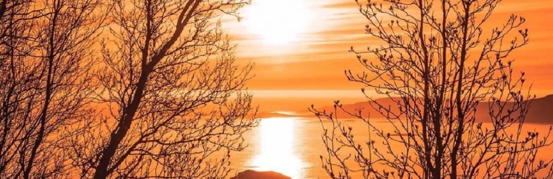 Monarch  Recovery LLC