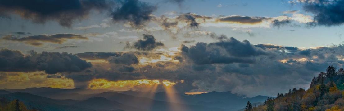 Nashville Addiction  Recovery