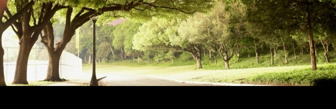 Premier Landscape  Management